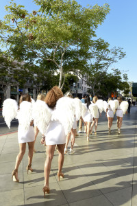 Angels in Training - Gran Centenario